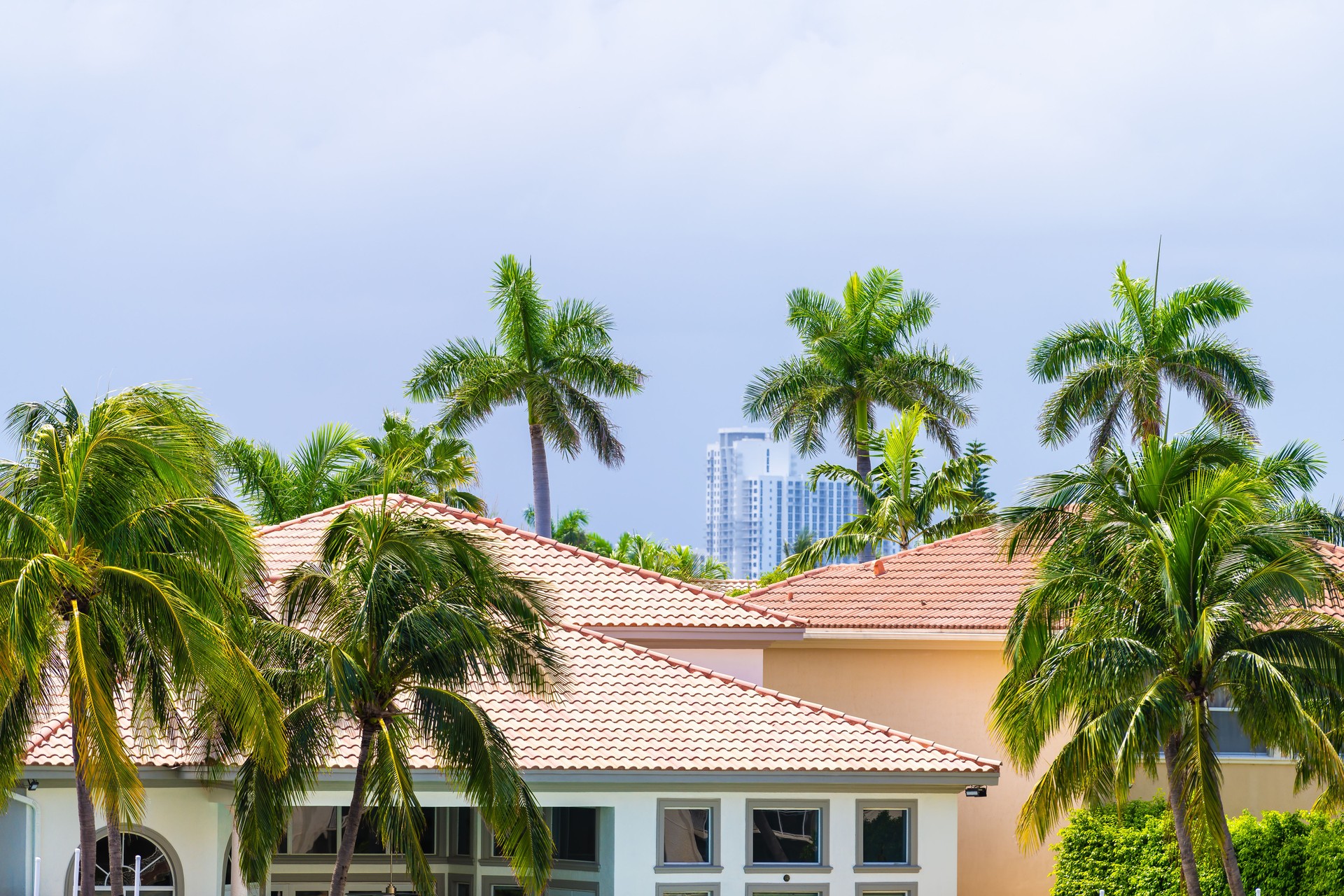 Miami, Florida real estate property modern mansion luxury villa house in Hollywood by Hallandale beach Three Islands with palm trees on summer day